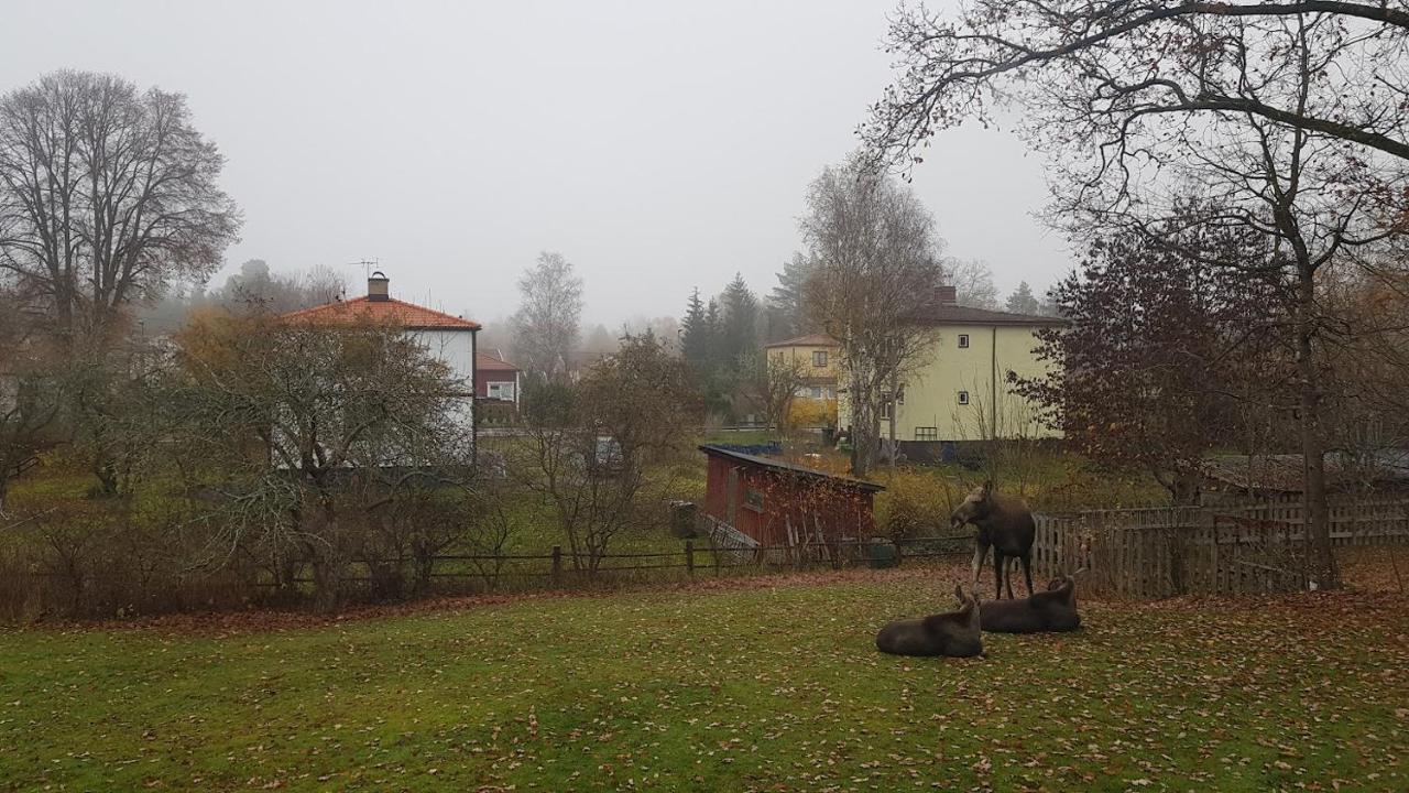 Trevligt Hus Med Egen Gard Och Fri Wifi, Emmaboda Kommun, Lindas Экстерьер фото